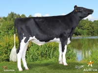 IFOP - Prim'Holstein